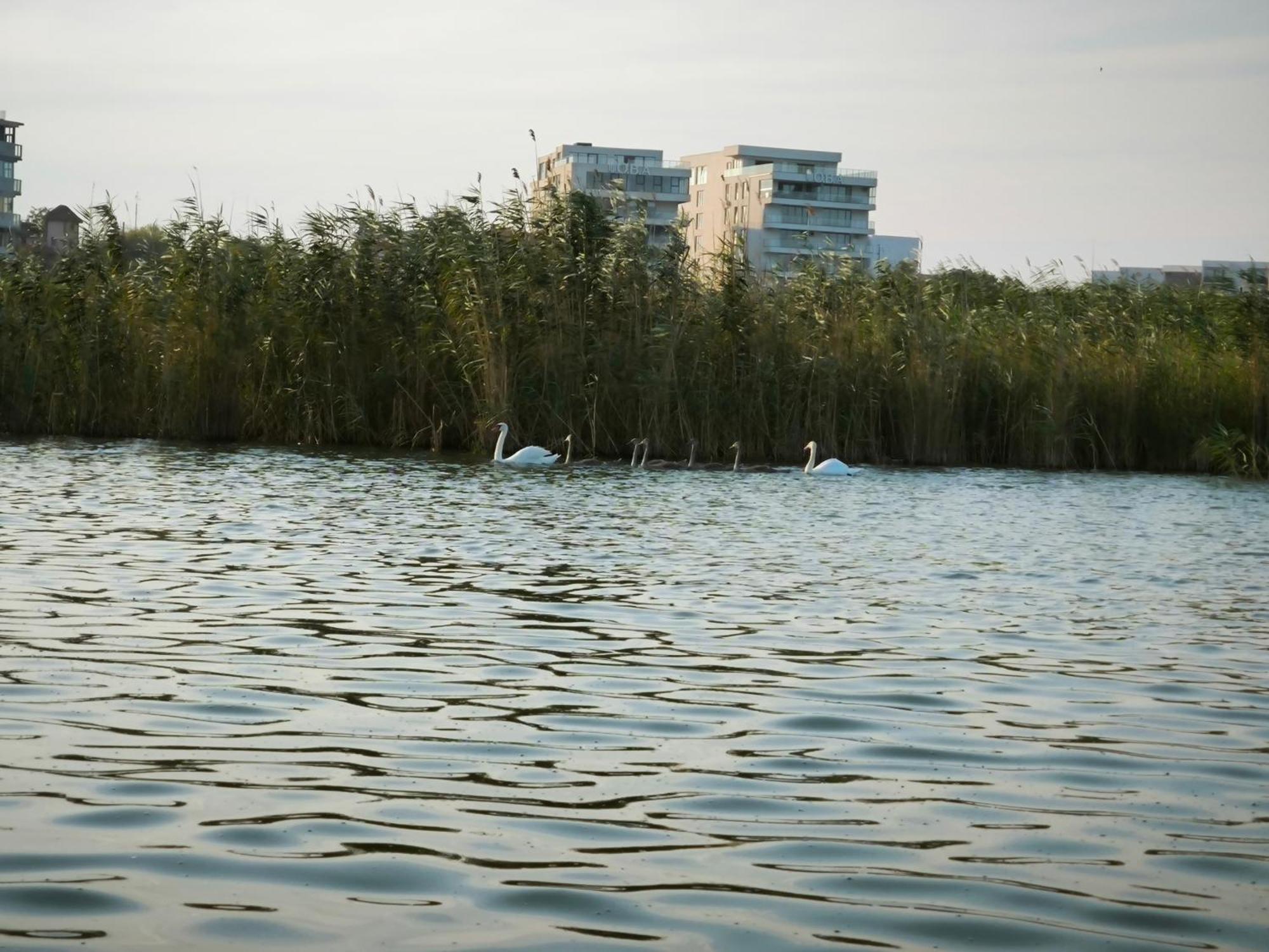 Almaville Mamaia Navodari Exterior photo